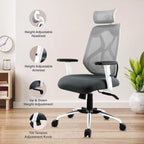 ASTRIDE Ergofit Ergonomic Office Chair for Home | 3-Years Warranty | 2D Headrest, Adjustable Arms & Lumbar Support | Tilt Lock Mechanism [Heavy Duty Chromium Metal Base, Grey-White]