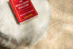 Sumptuous Fluffy Fur Ottoman - Premium Long Fur - White