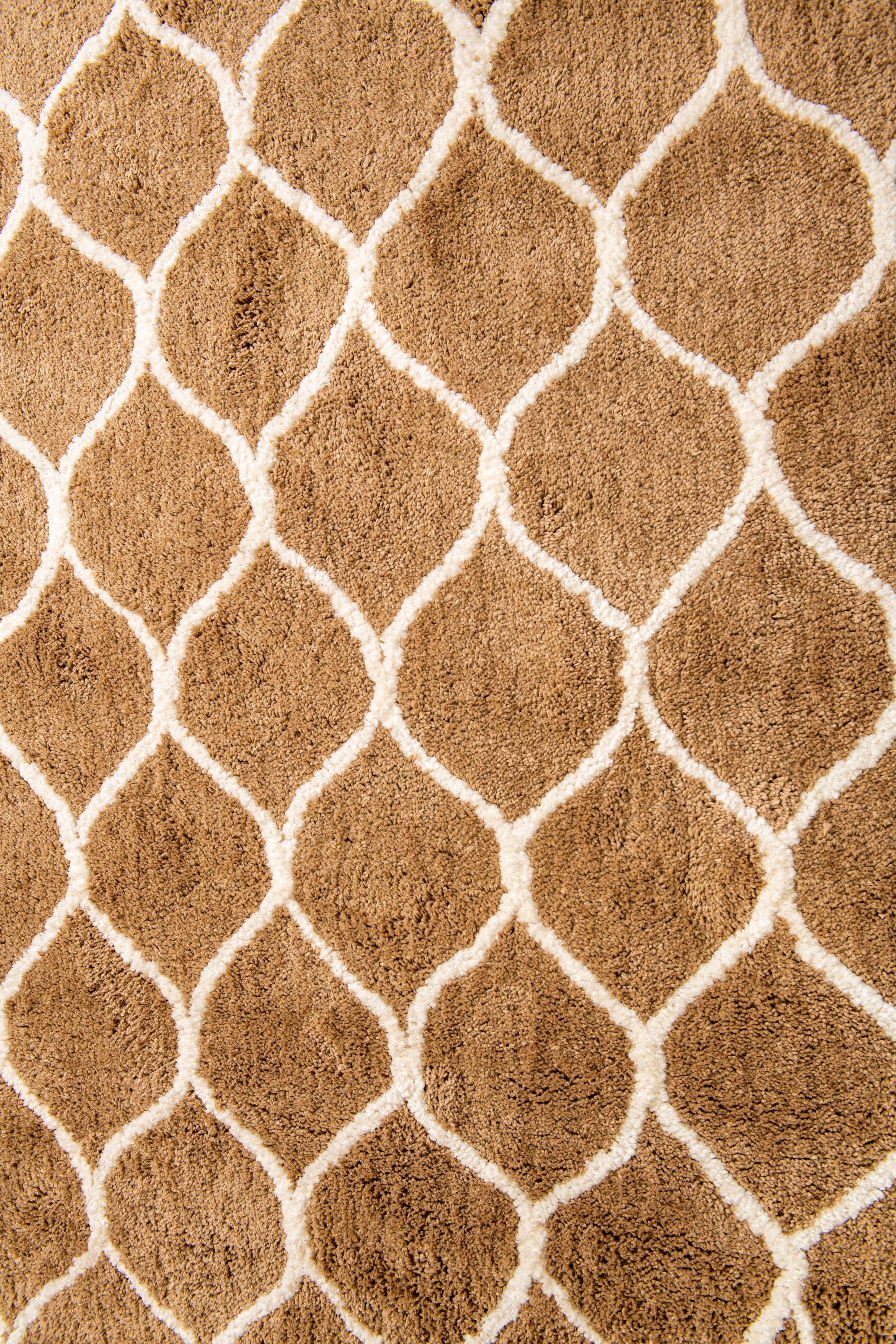 Microfiber Moroccan Trellis Rug - Beige and Cream- Rectangle