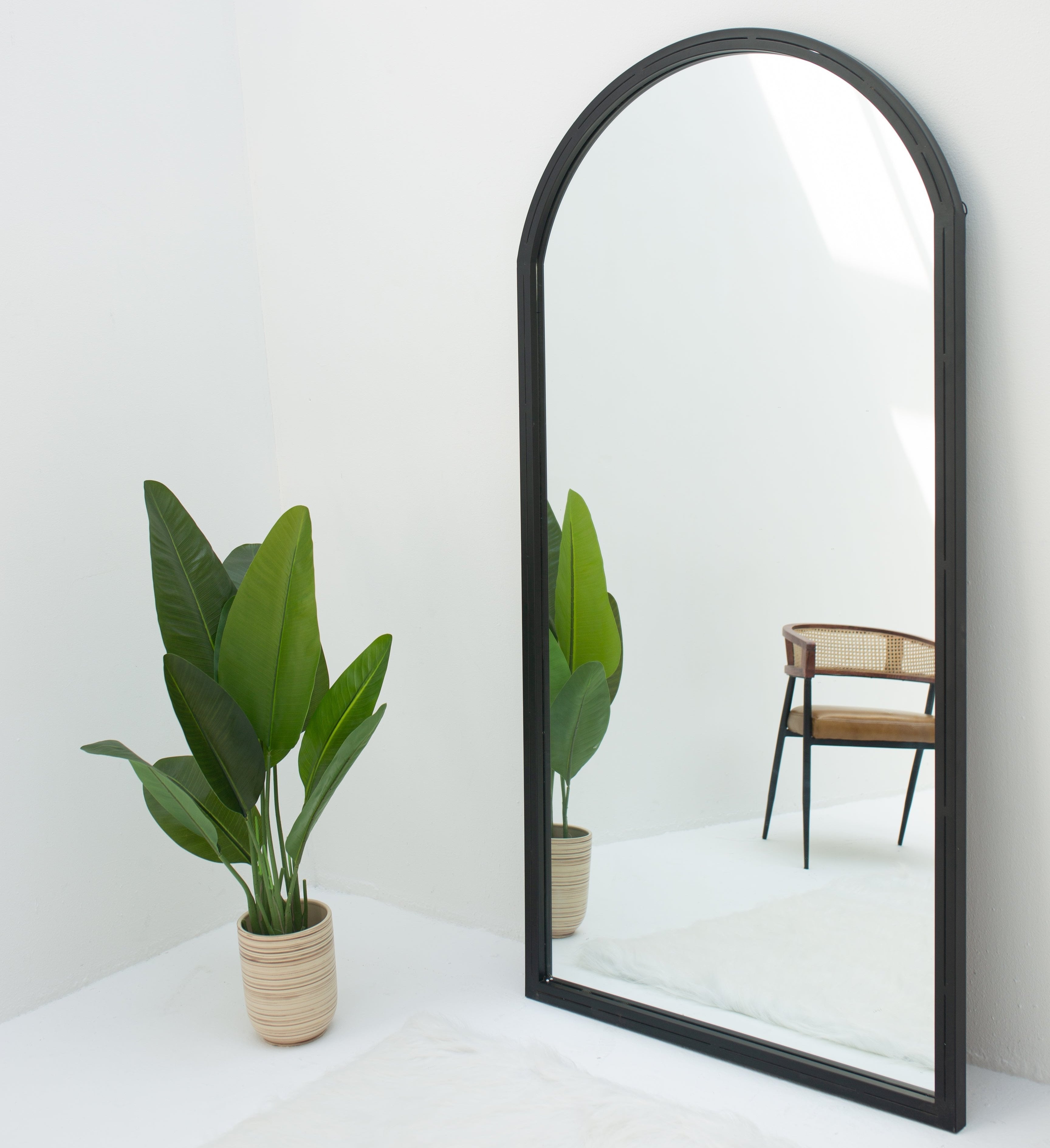 Bird of Paradise