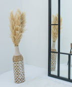 Pampas Grass