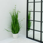 Eleocharis Plant with White Flowers