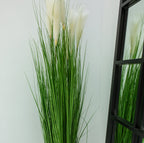 Grass with White Plumes