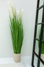 Grass with White Plumes