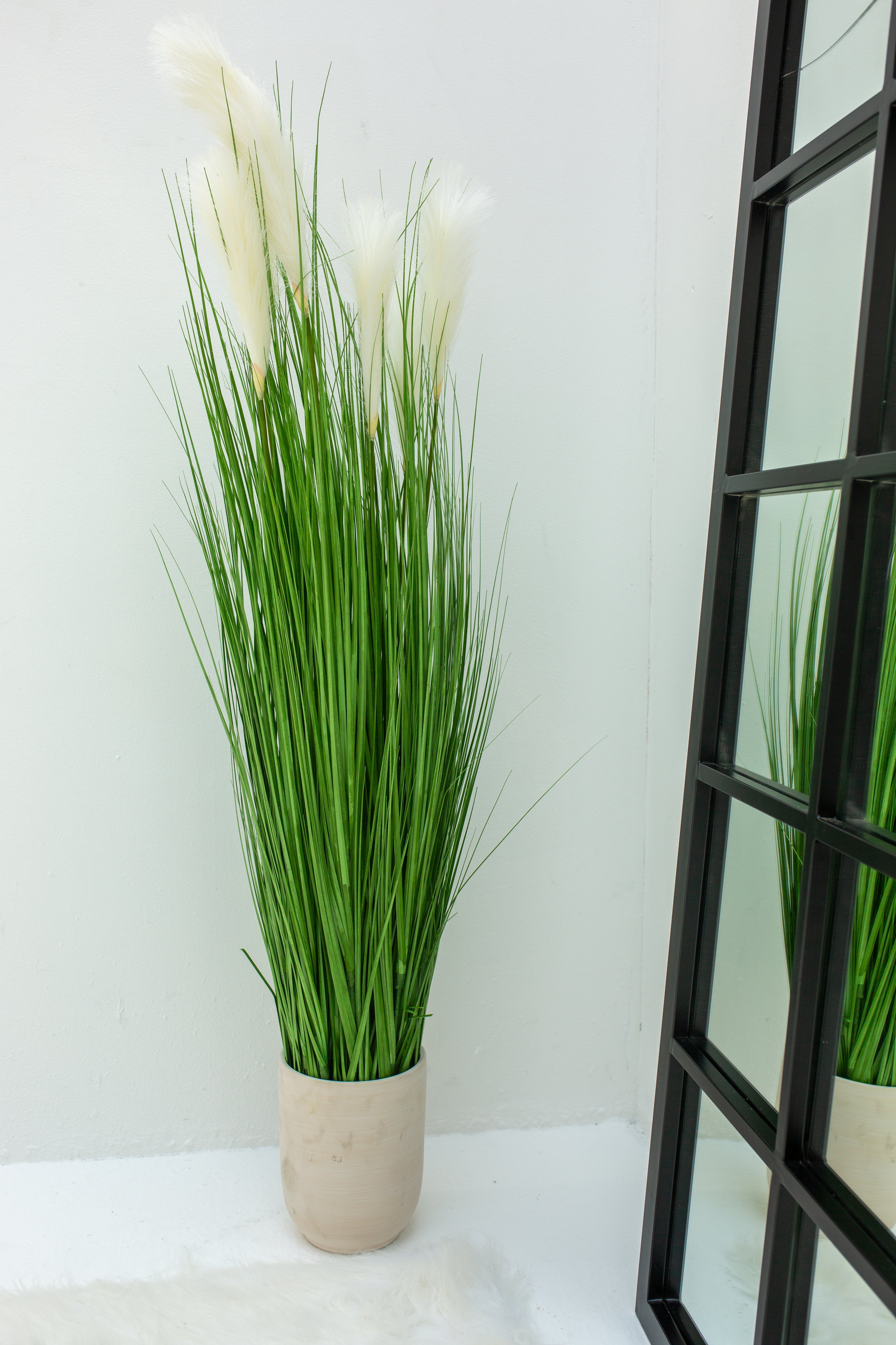 Grass with White Plumes