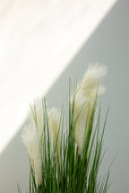 Grass with White Plumes